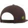 color:brown